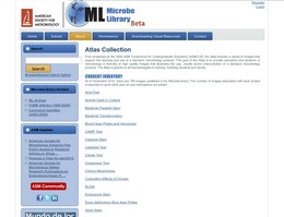 http://www.microbelibrary.org/ microbe library